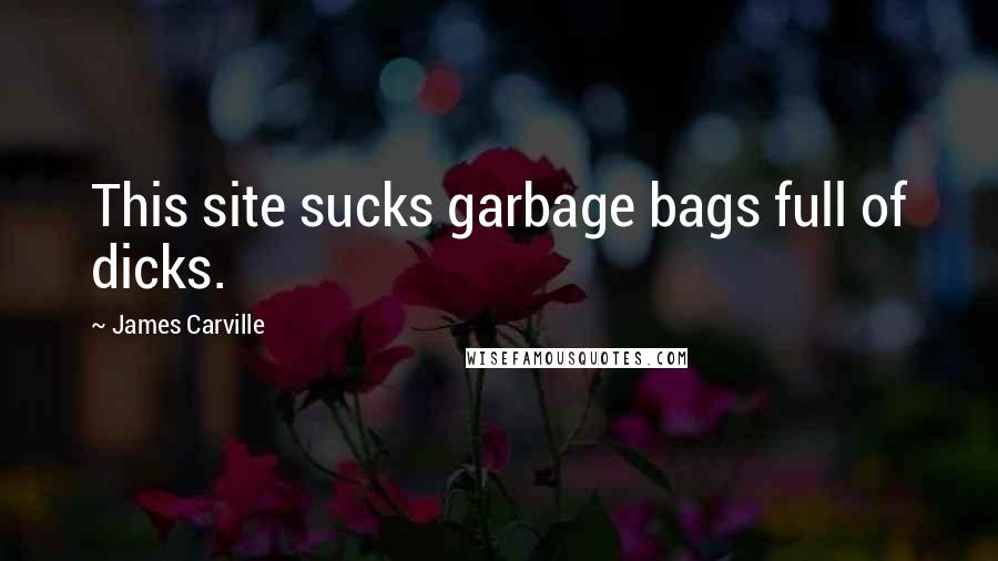 James Carville Quotes: This site sucks garbage bags full of dicks.