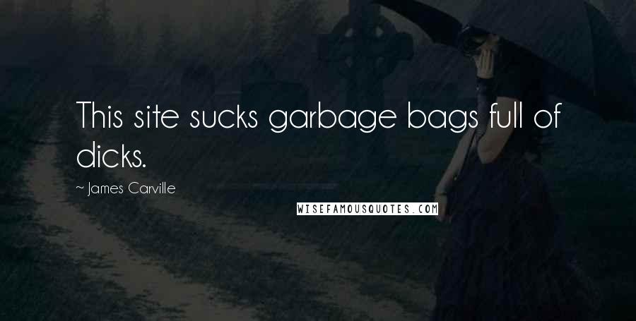 James Carville Quotes: This site sucks garbage bags full of dicks.