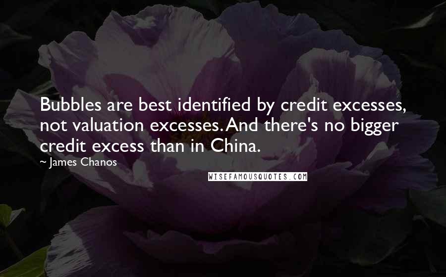 James Chanos Quotes: Bubbles are best identified by credit excesses, not valuation excesses. And there's no bigger credit excess than in China.