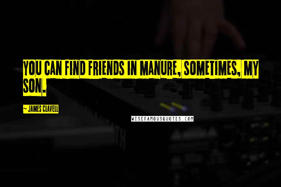 James Clavell Quotes: You can find friends in manure, sometimes, my son.