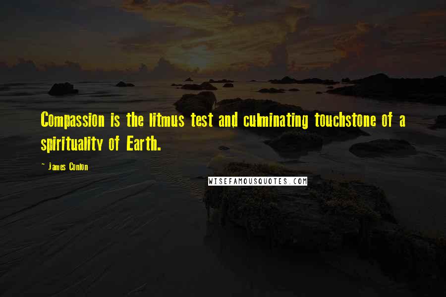 James Conlon Quotes: Compassion is the litmus test and culminating touchstone of a spirituality of Earth.