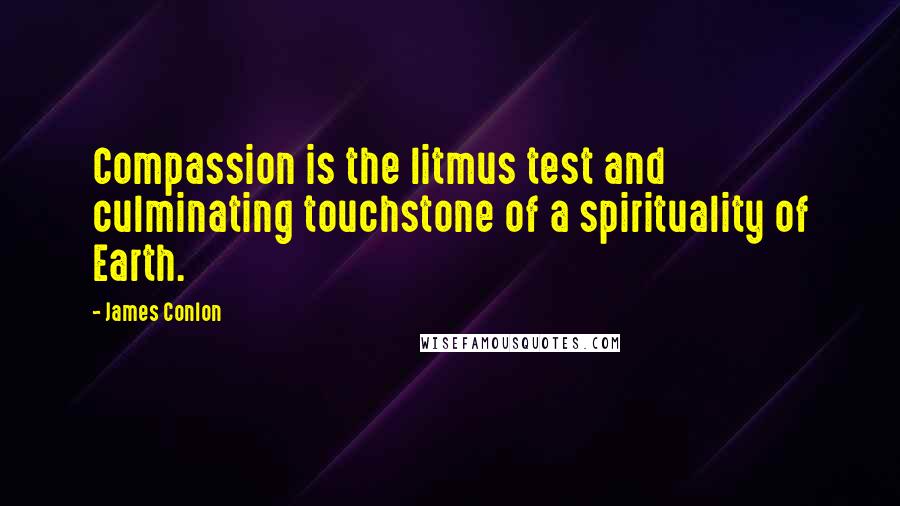 James Conlon Quotes: Compassion is the litmus test and culminating touchstone of a spirituality of Earth.
