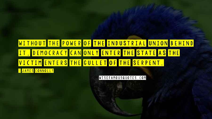 James Connolly Quotes: Without the power of the Industrial Union behind it, Democracy can only enter the State as the victim enters the gullet of the Serpent.