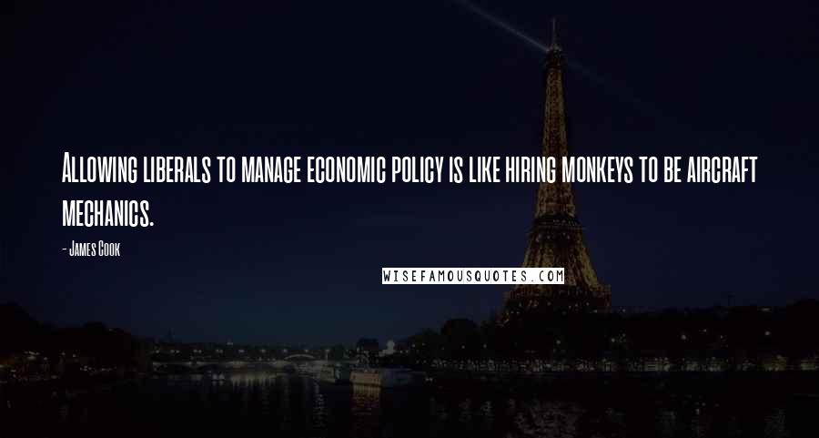 James Cook Quotes: Allowing liberals to manage economic policy is like hiring monkeys to be aircraft mechanics.