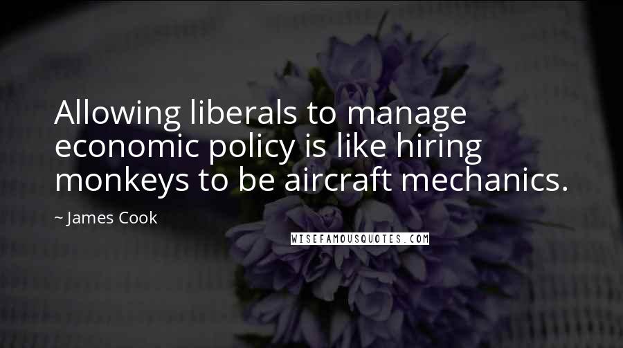 James Cook Quotes: Allowing liberals to manage economic policy is like hiring monkeys to be aircraft mechanics.