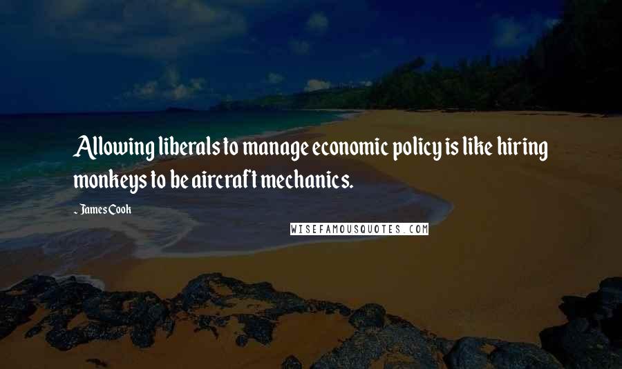 James Cook Quotes: Allowing liberals to manage economic policy is like hiring monkeys to be aircraft mechanics.