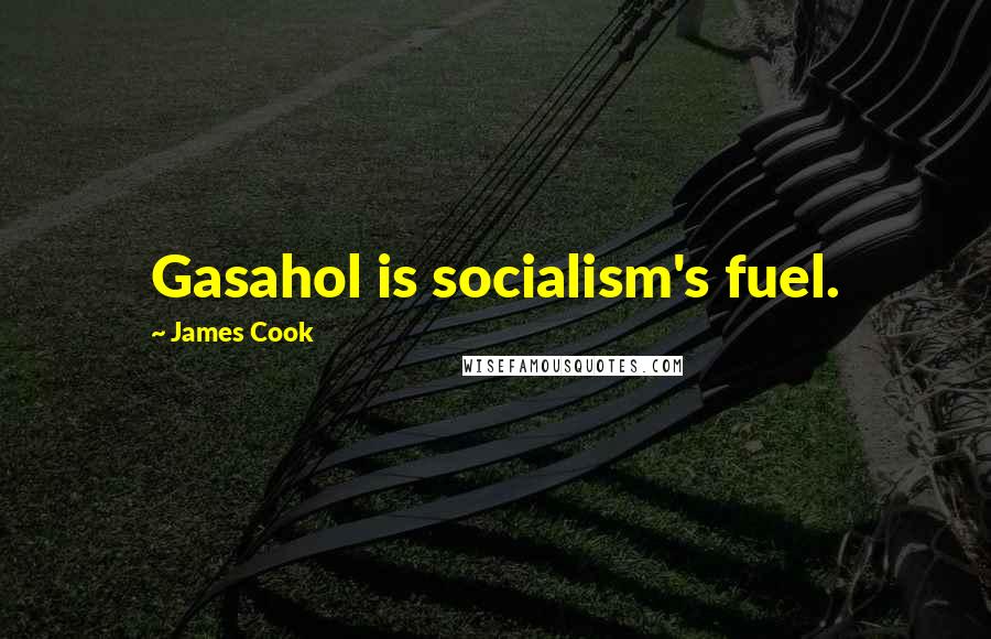 James Cook Quotes: Gasahol is socialism's fuel.