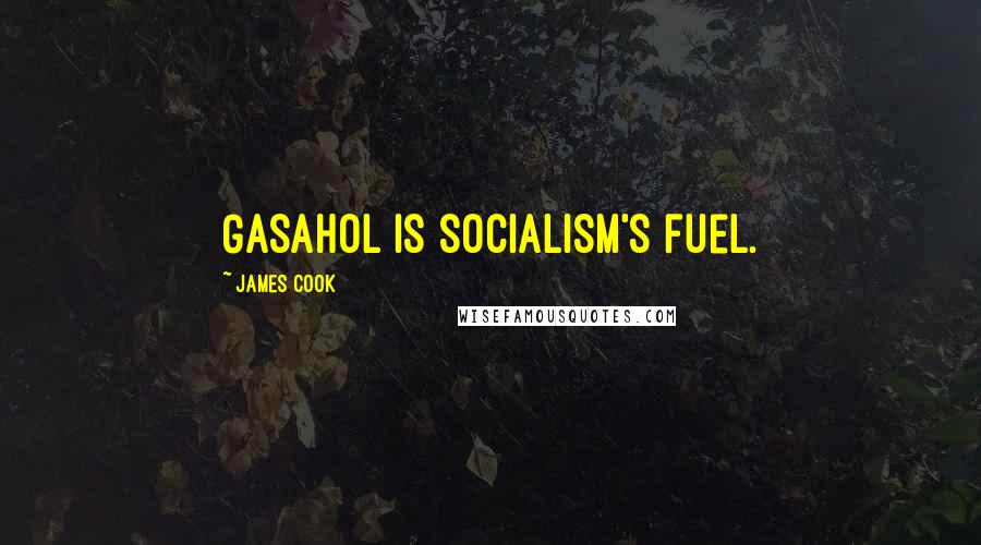 James Cook Quotes: Gasahol is socialism's fuel.