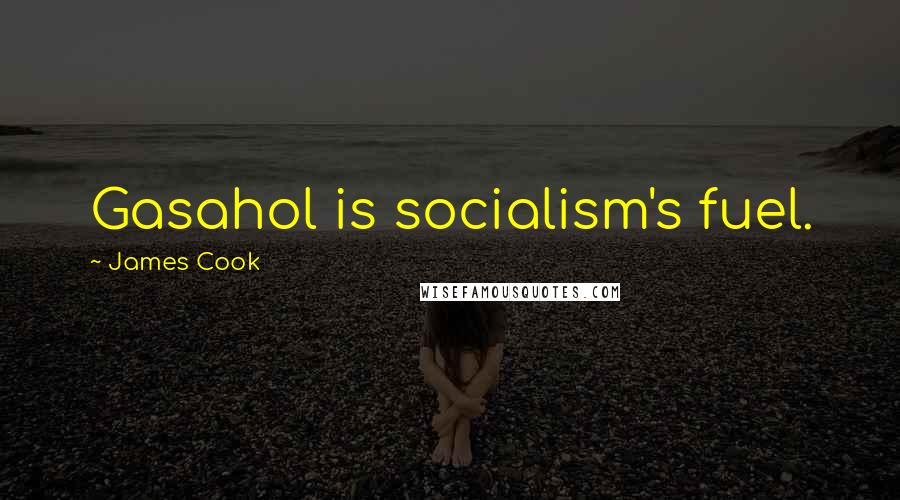James Cook Quotes: Gasahol is socialism's fuel.