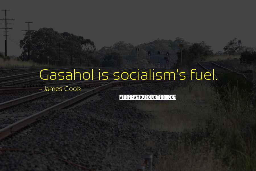 James Cook Quotes: Gasahol is socialism's fuel.