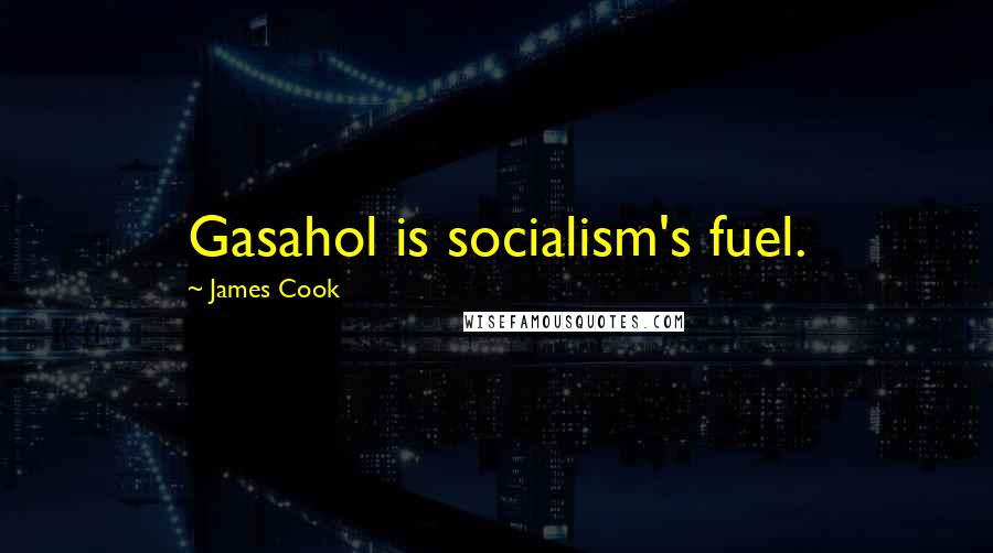 James Cook Quotes: Gasahol is socialism's fuel.