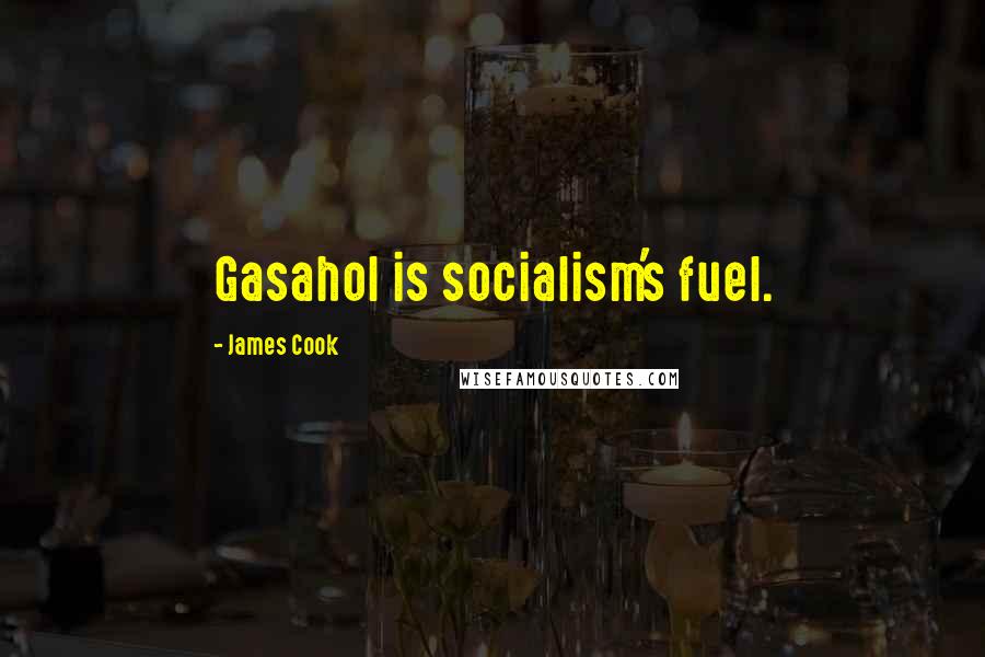 James Cook Quotes: Gasahol is socialism's fuel.