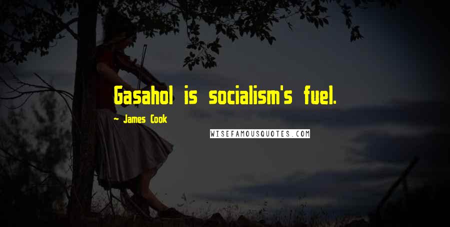 James Cook Quotes: Gasahol is socialism's fuel.