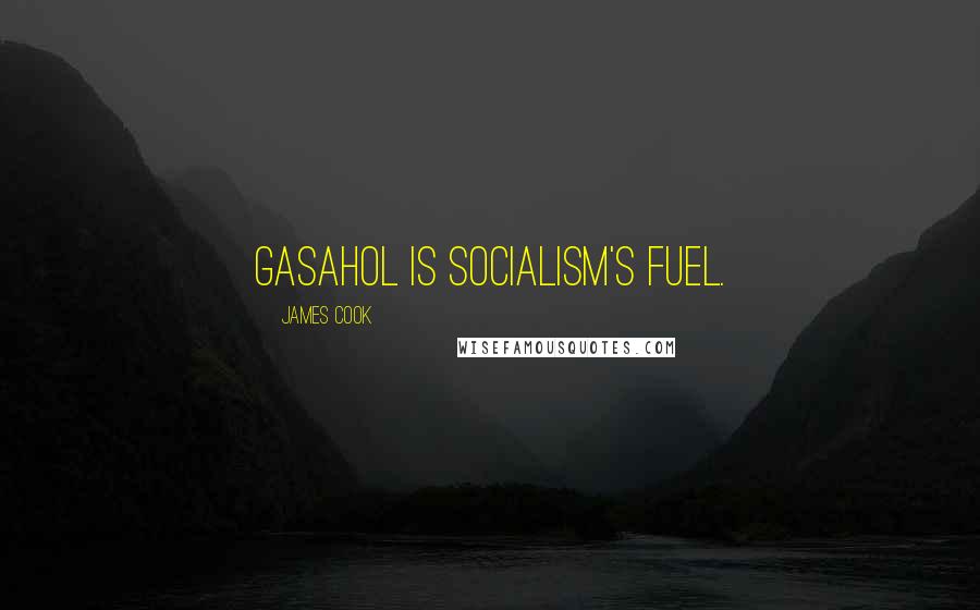 James Cook Quotes: Gasahol is socialism's fuel.