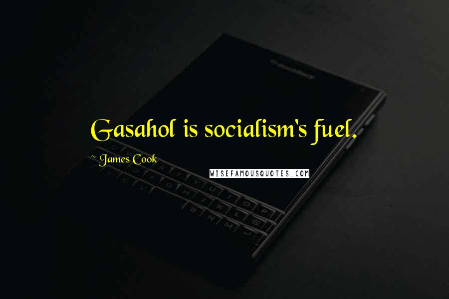 James Cook Quotes: Gasahol is socialism's fuel.