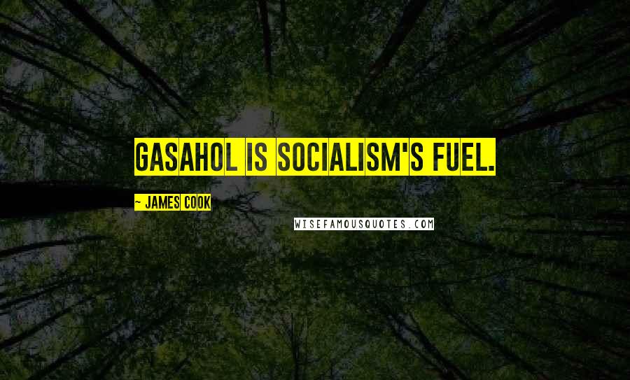 James Cook Quotes: Gasahol is socialism's fuel.