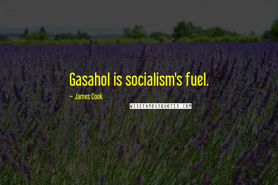 James Cook Quotes: Gasahol is socialism's fuel.