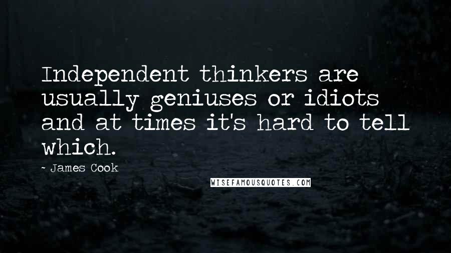 James Cook Quotes: Independent thinkers are usually geniuses or idiots and at times it's hard to tell which.