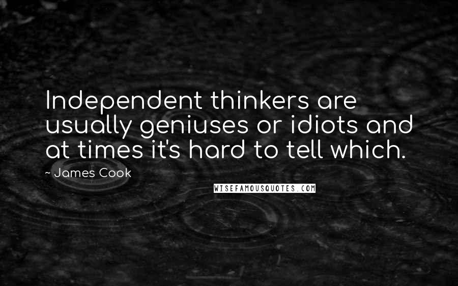 James Cook Quotes: Independent thinkers are usually geniuses or idiots and at times it's hard to tell which.