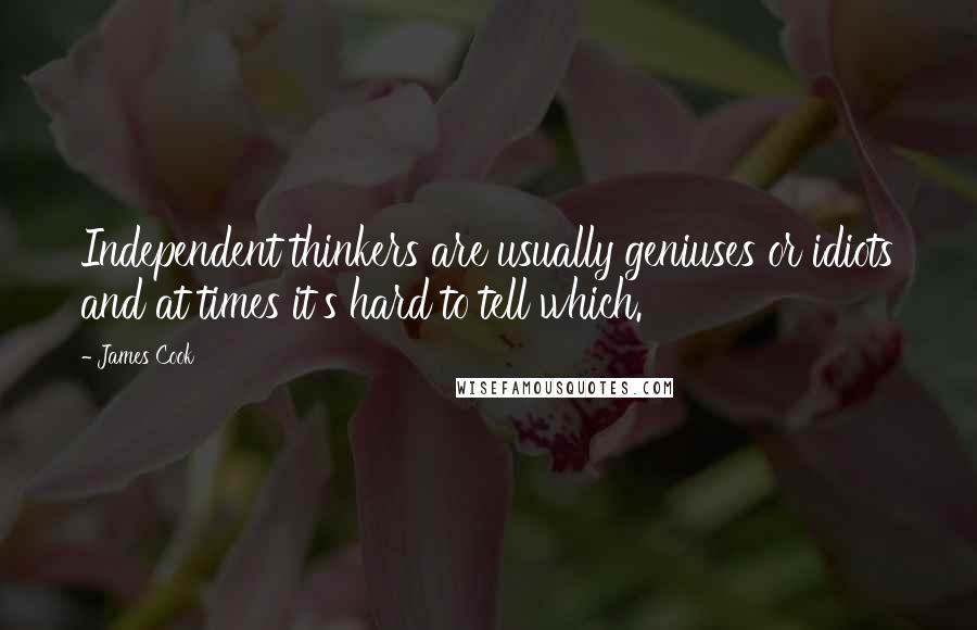 James Cook Quotes: Independent thinkers are usually geniuses or idiots and at times it's hard to tell which.