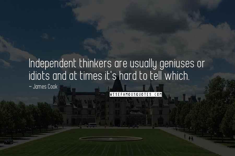 James Cook Quotes: Independent thinkers are usually geniuses or idiots and at times it's hard to tell which.
