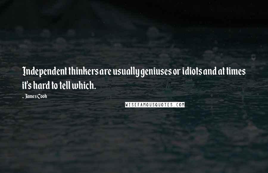 James Cook Quotes: Independent thinkers are usually geniuses or idiots and at times it's hard to tell which.