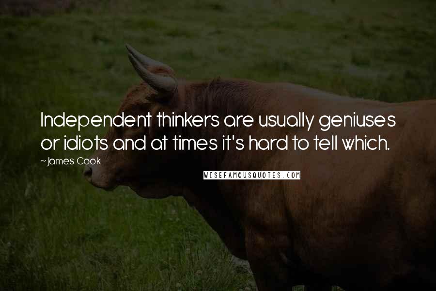 James Cook Quotes: Independent thinkers are usually geniuses or idiots and at times it's hard to tell which.