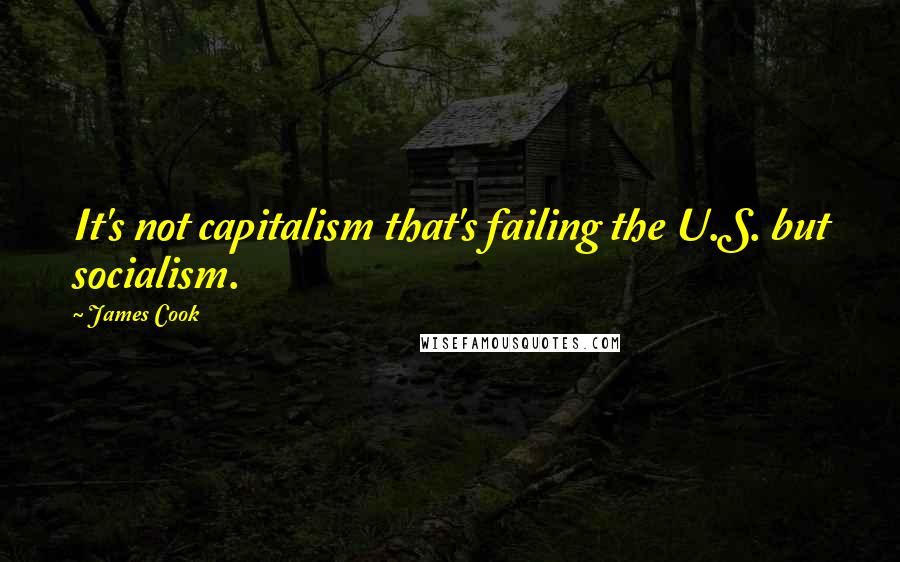 James Cook Quotes: It's not capitalism that's failing the U.S. but socialism.