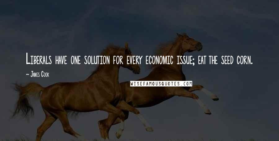 James Cook Quotes: Liberals have one solution for every economic issue; eat the seed corn.