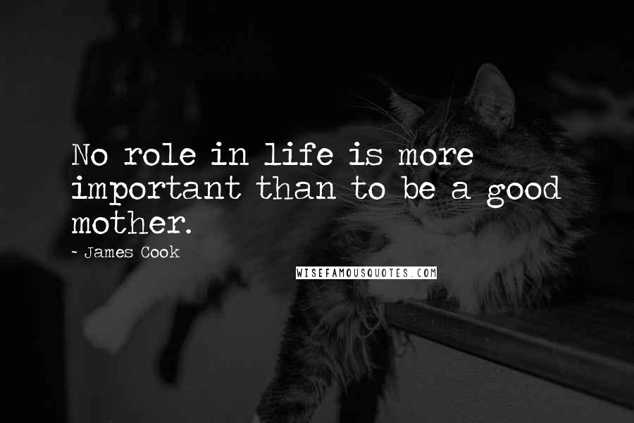 James Cook Quotes: No role in life is more important than to be a good mother.