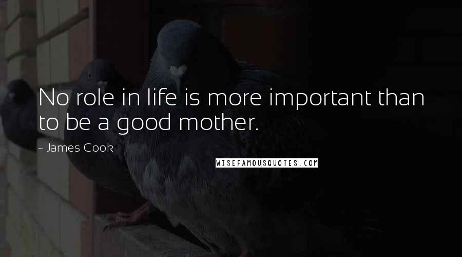 James Cook Quotes: No role in life is more important than to be a good mother.