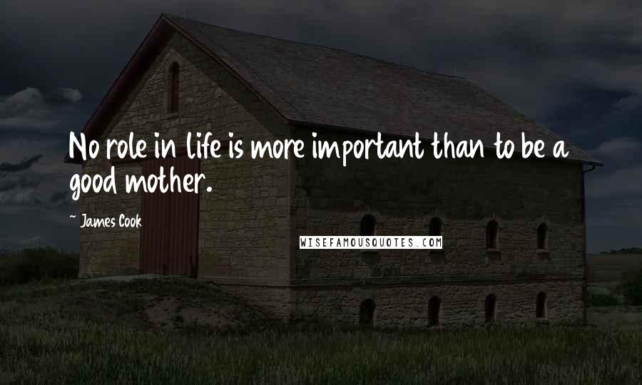 James Cook Quotes: No role in life is more important than to be a good mother.