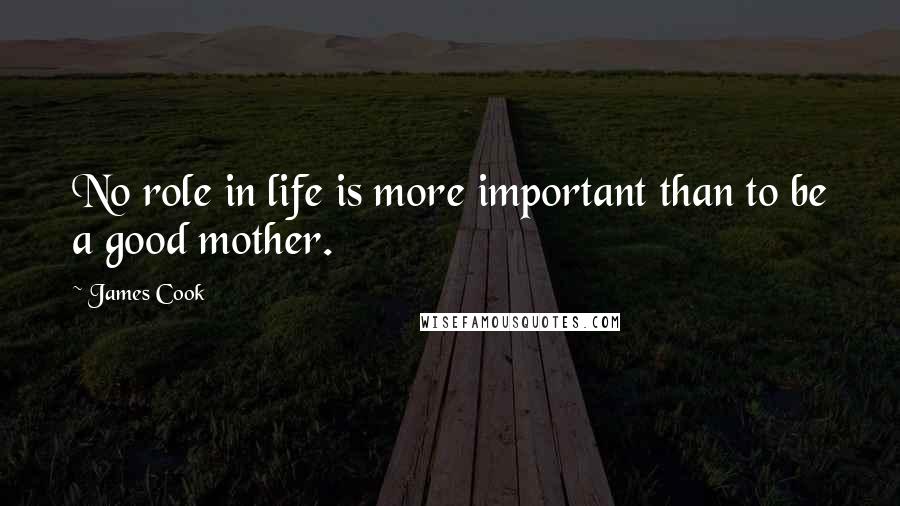 James Cook Quotes: No role in life is more important than to be a good mother.