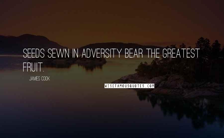 James Cook Quotes: Seeds sewn in adversity bear the greatest fruit.