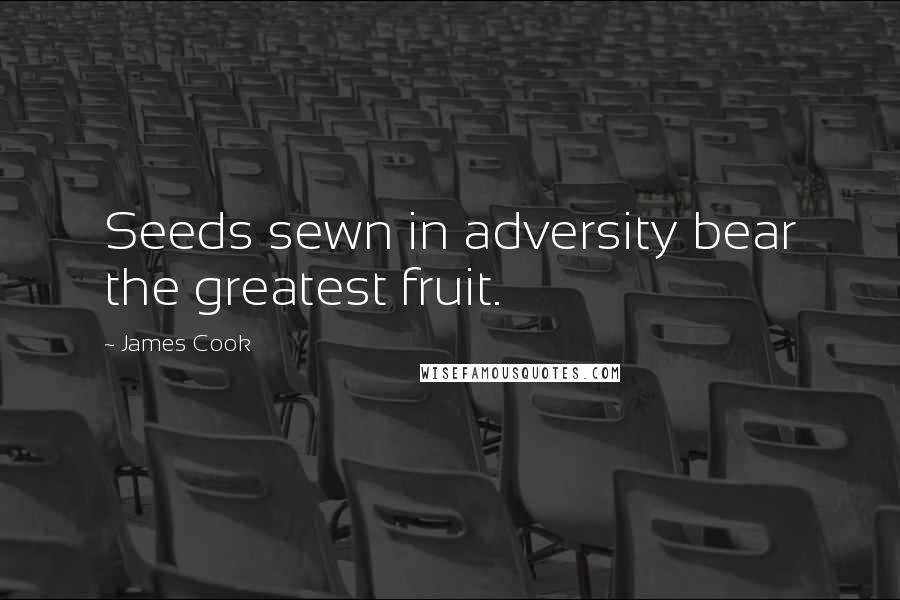 James Cook Quotes: Seeds sewn in adversity bear the greatest fruit.