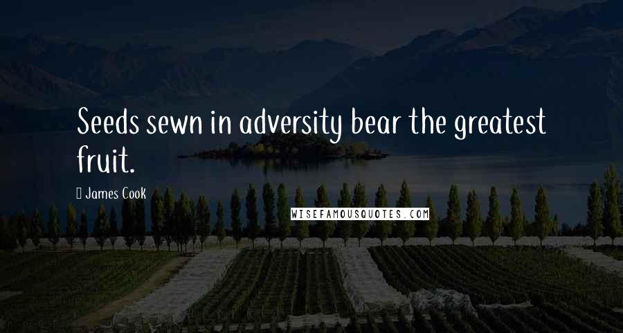 James Cook Quotes: Seeds sewn in adversity bear the greatest fruit.