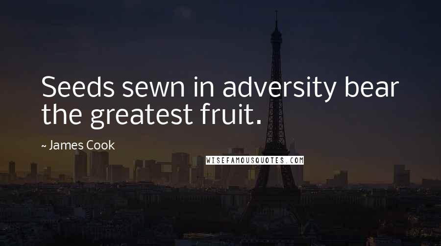 James Cook Quotes: Seeds sewn in adversity bear the greatest fruit.