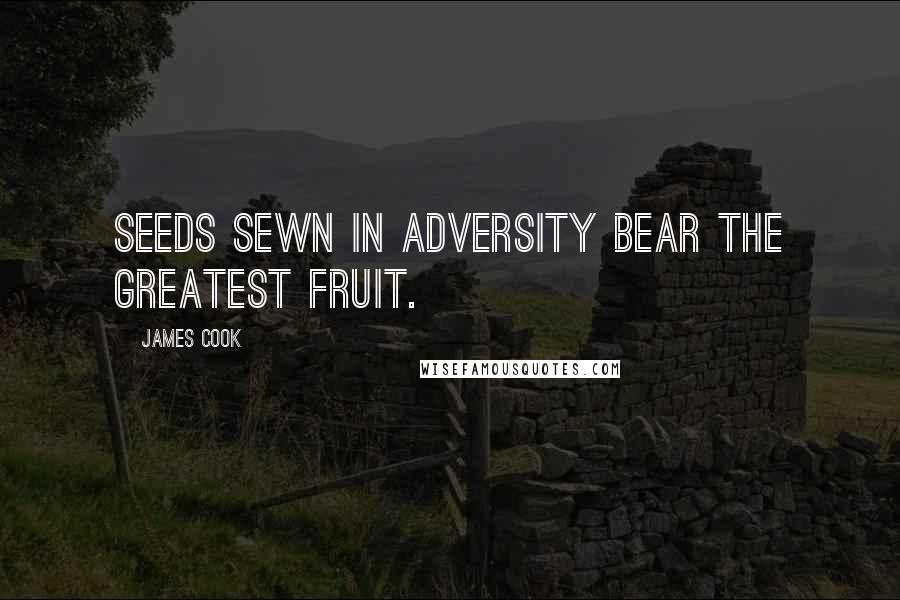 James Cook Quotes: Seeds sewn in adversity bear the greatest fruit.