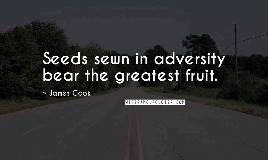 James Cook Quotes: Seeds sewn in adversity bear the greatest fruit.