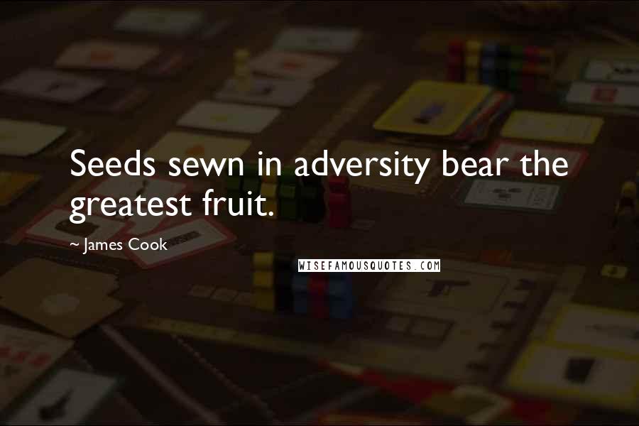 James Cook Quotes: Seeds sewn in adversity bear the greatest fruit.