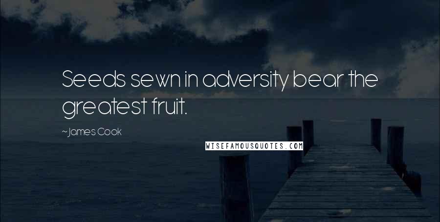 James Cook Quotes: Seeds sewn in adversity bear the greatest fruit.