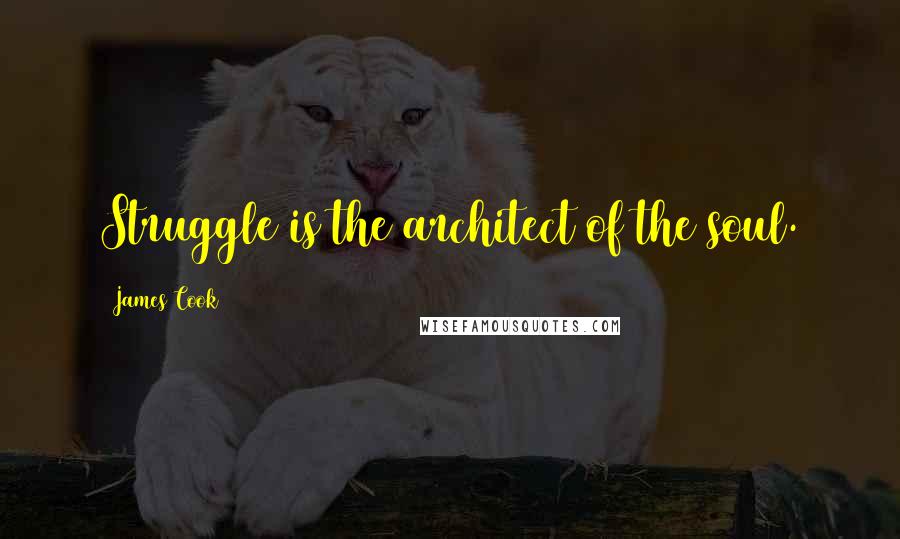James Cook Quotes: Struggle is the architect of the soul.