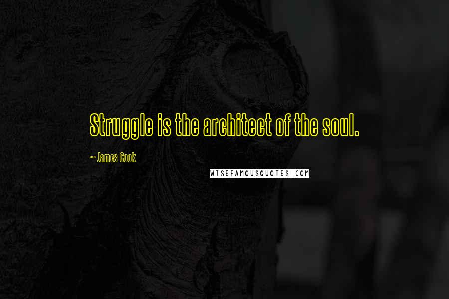 James Cook Quotes: Struggle is the architect of the soul.