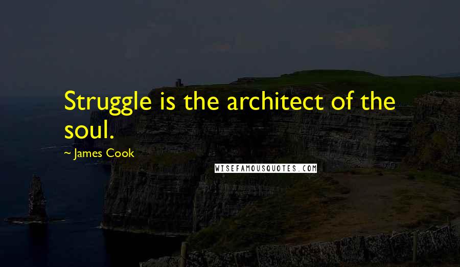 James Cook Quotes: Struggle is the architect of the soul.