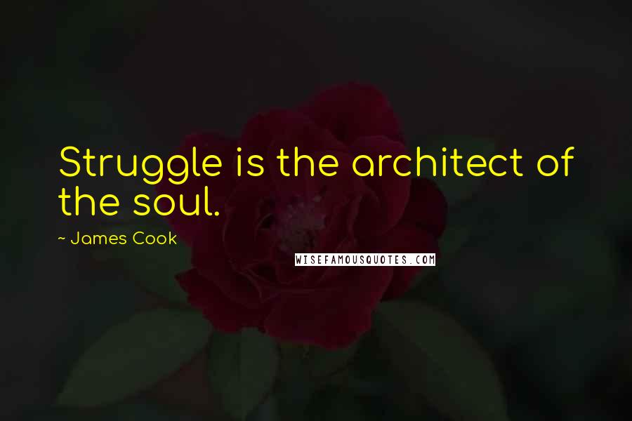 James Cook Quotes: Struggle is the architect of the soul.