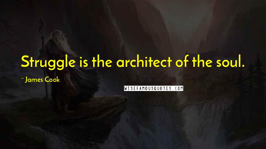 James Cook Quotes: Struggle is the architect of the soul.