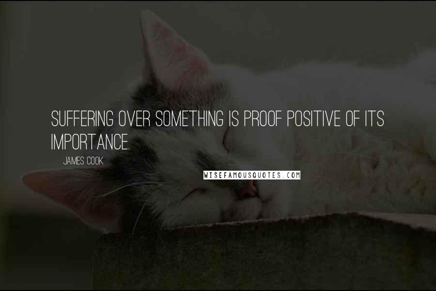 James Cook Quotes: Suffering over something is proof positive of its importance.