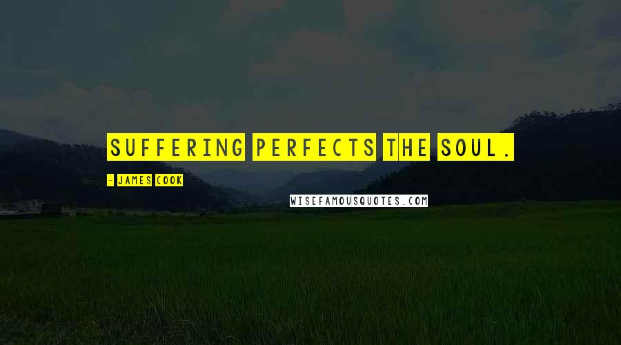 James Cook Quotes: Suffering perfects the soul.