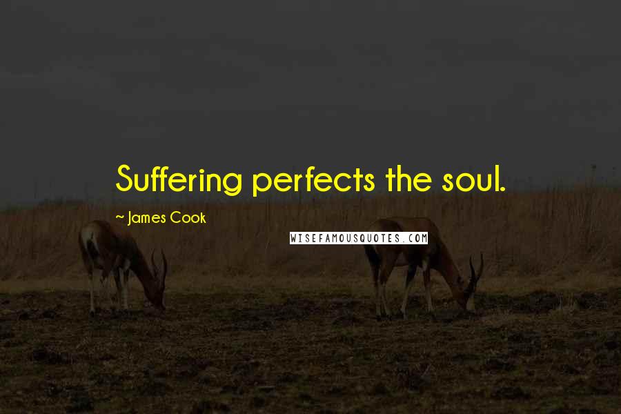 James Cook Quotes: Suffering perfects the soul.