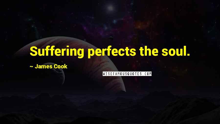 James Cook Quotes: Suffering perfects the soul.